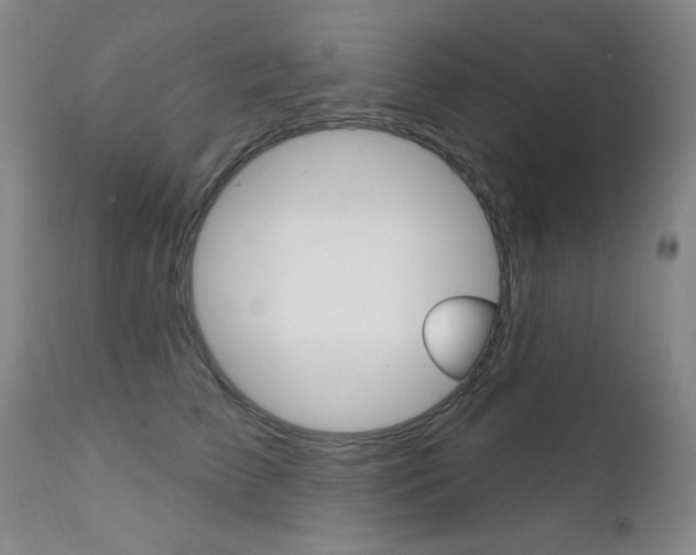 X0000111580709200907161156