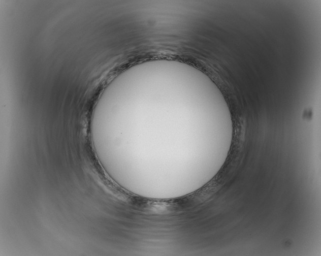 X0000111580710200907161156