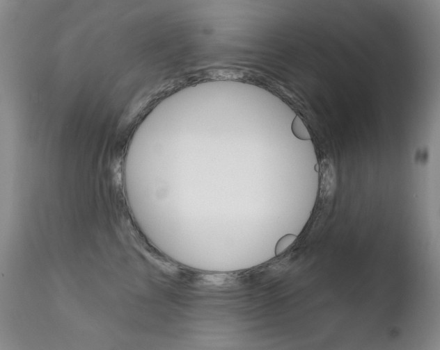 X0000111580713200907161156