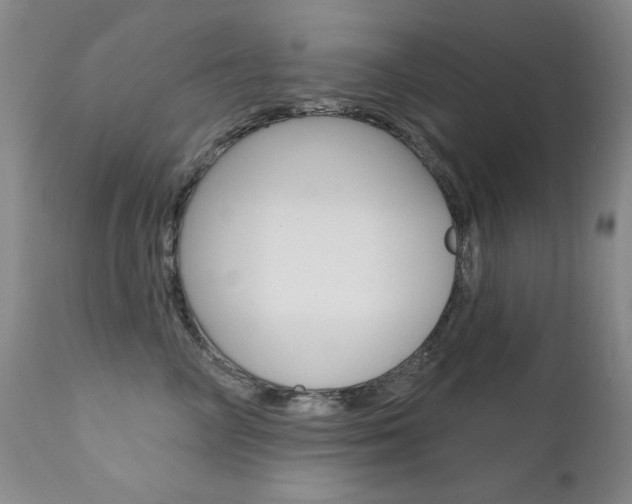 X0000111580714200907161156