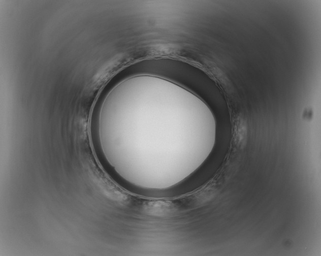 X0000111580716200907161156