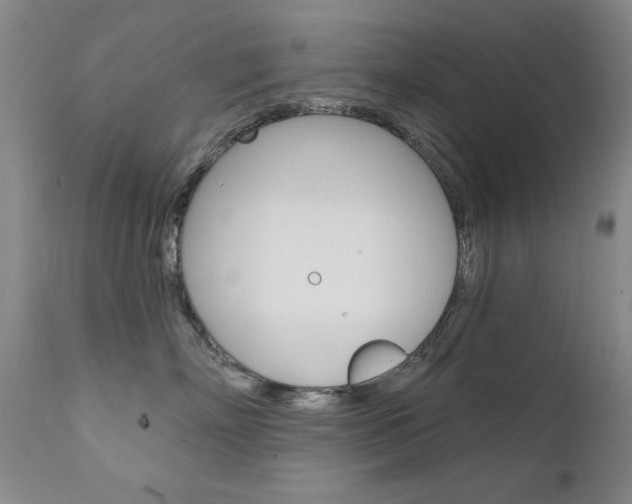 X0000111580718200907161156