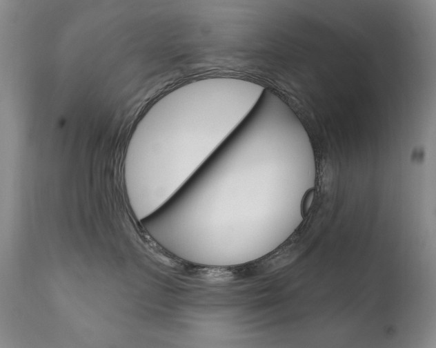 X0000111580719200907161156