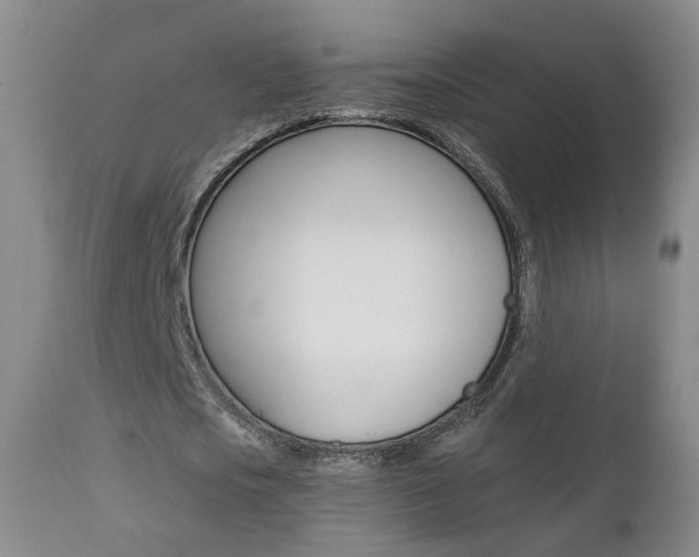 X0000111580721200907161155