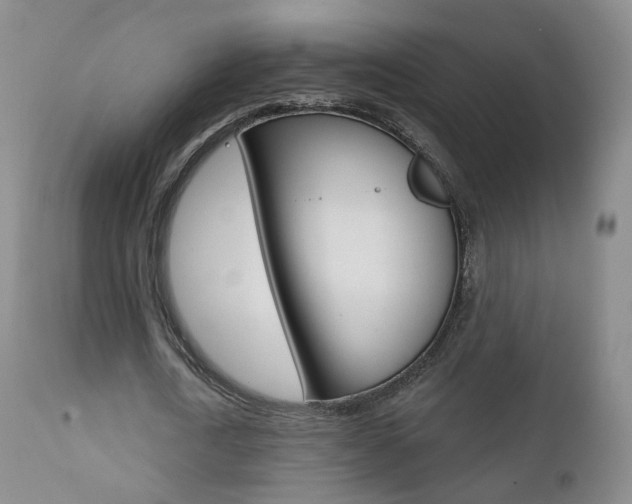 X0000111580722200907161155