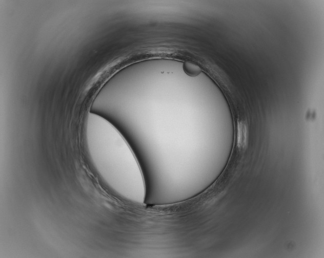 X0000111580723200907161155