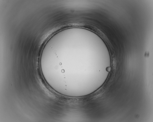 X0000111580725200907161155
