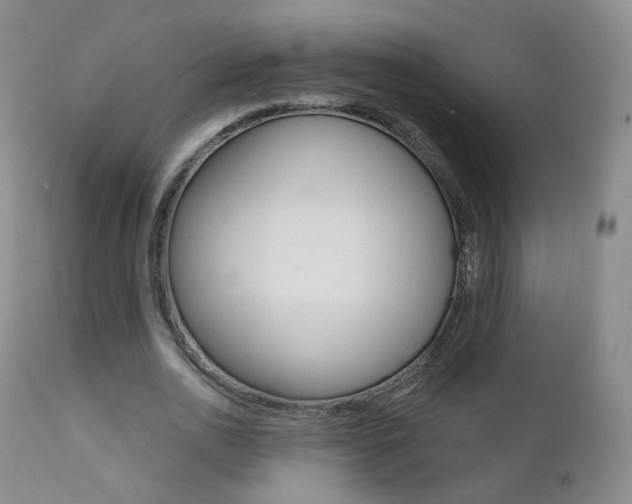 X0000111580726200907161155