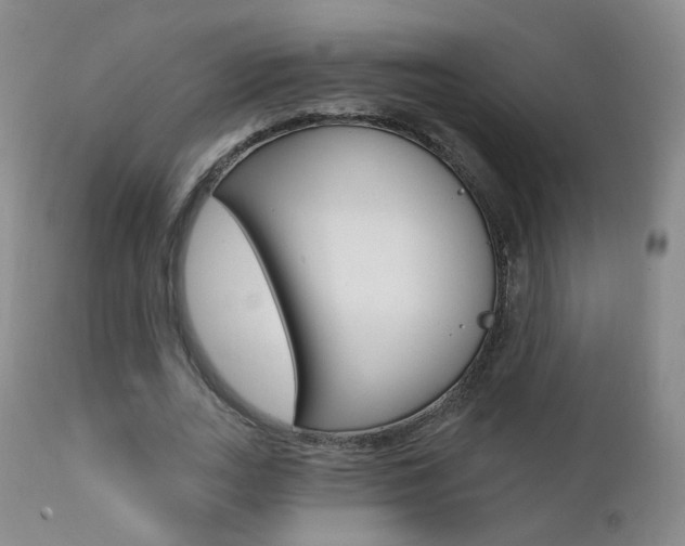 X0000111580727200907161155
