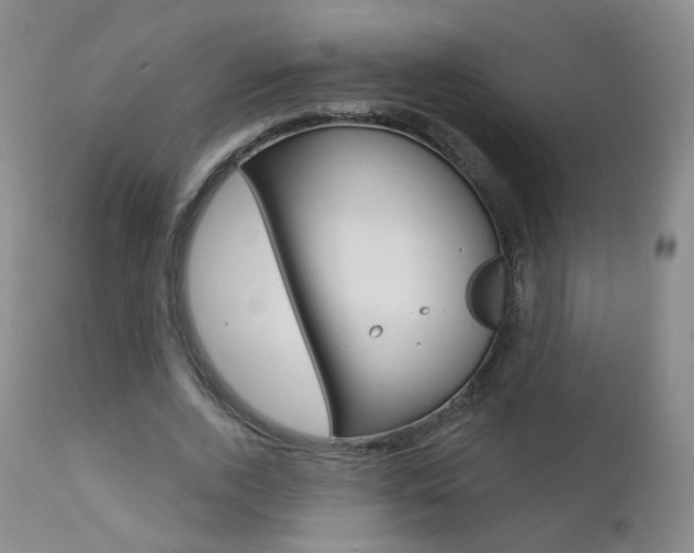 X0000111580728200907161155