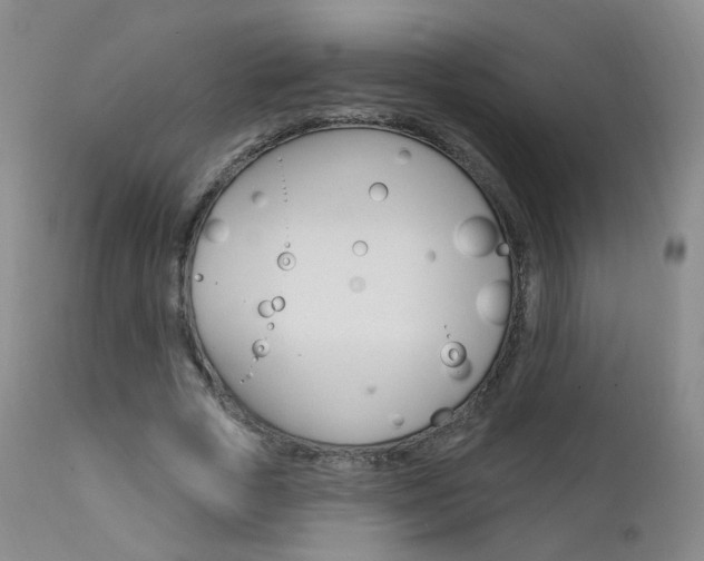 X0000111580729200907161155