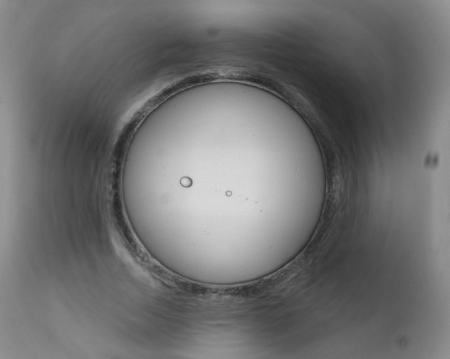 X0000111580730200907161155