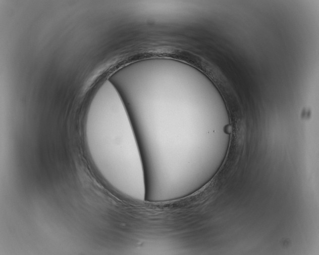X0000111580731200907161155