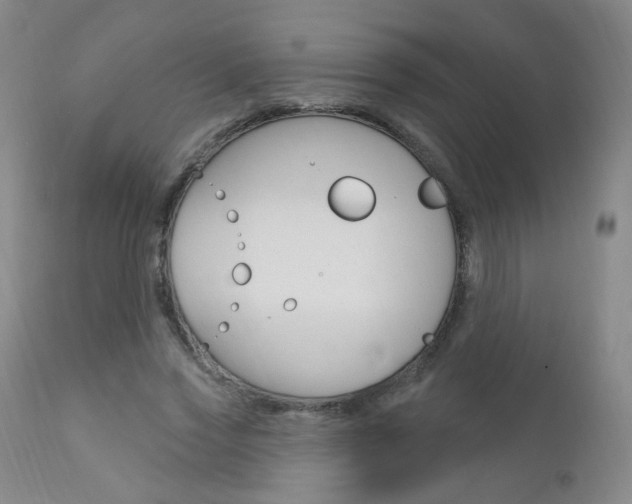 X0000111580733200907161155