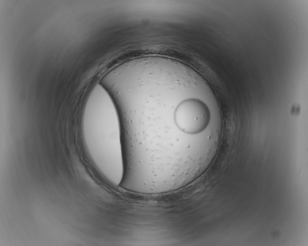 X0000111580734200907161155