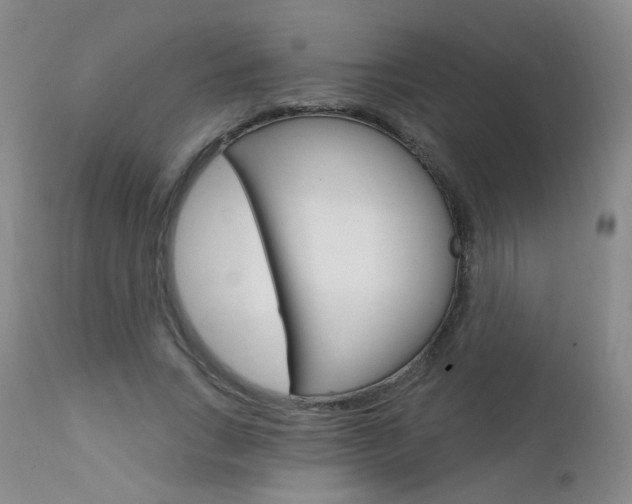 X0000111580735200907161155