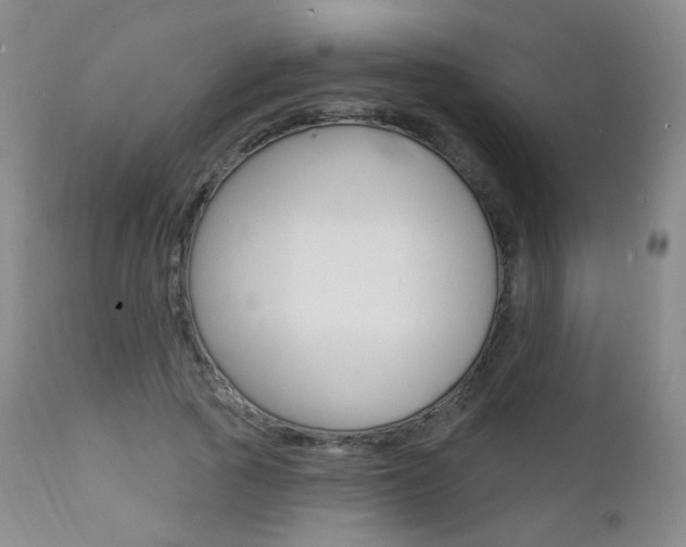 X0000111580737200907161155