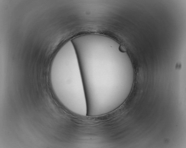 X0000111580739200907161155