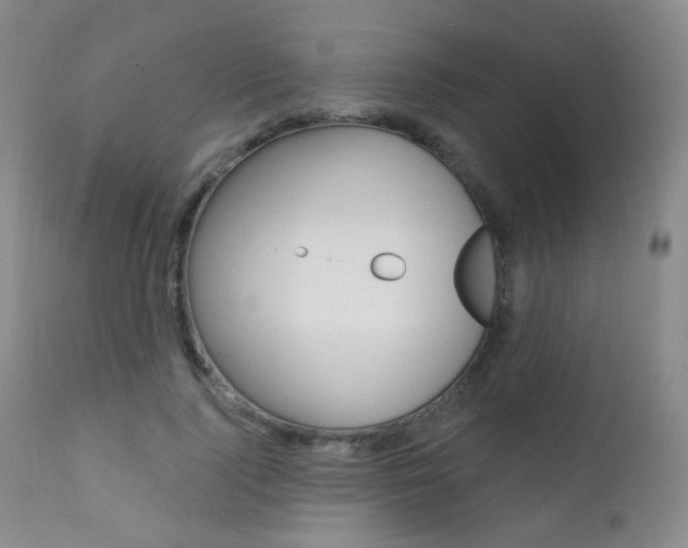 X0000111580740200907161155