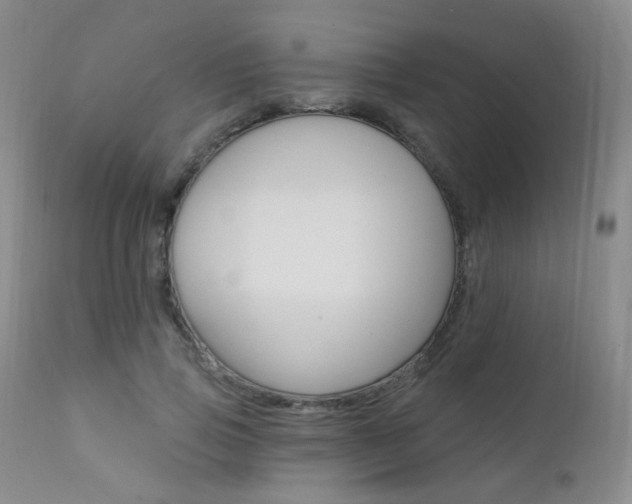 X0000111580741200907161155
