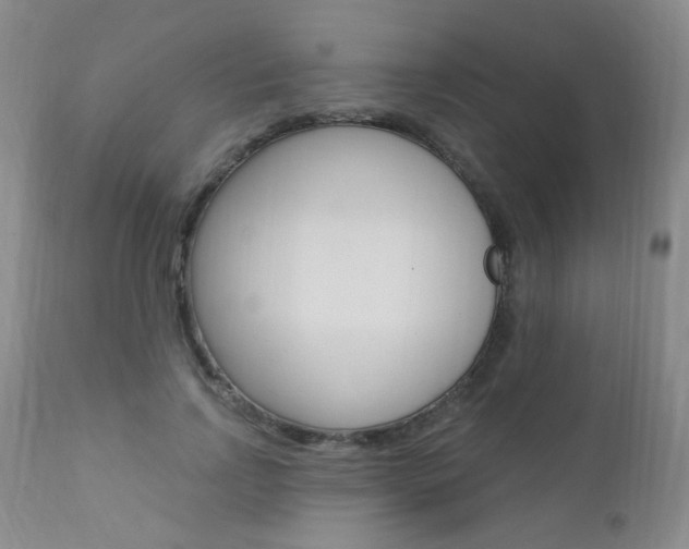 X0000111580742200907161155