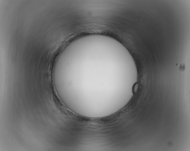 X0000111580743200907161155
