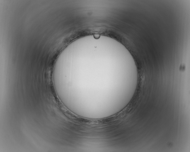 X0000111580745200907161155