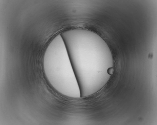 X0000111580747200907161155