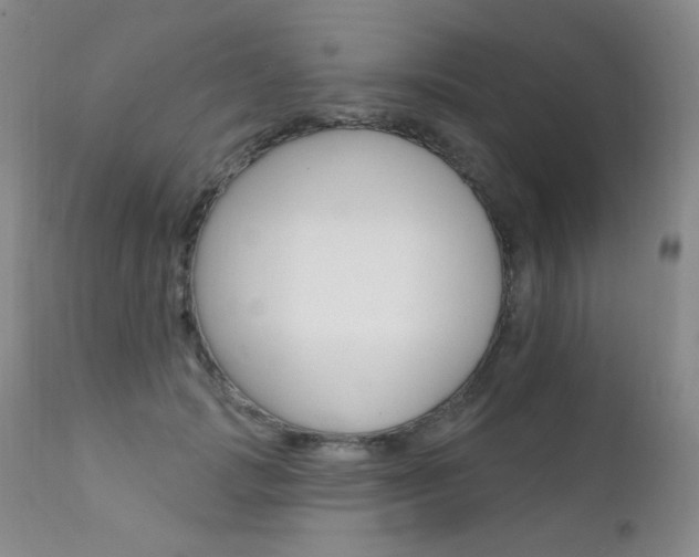 X0000111580749200907161155