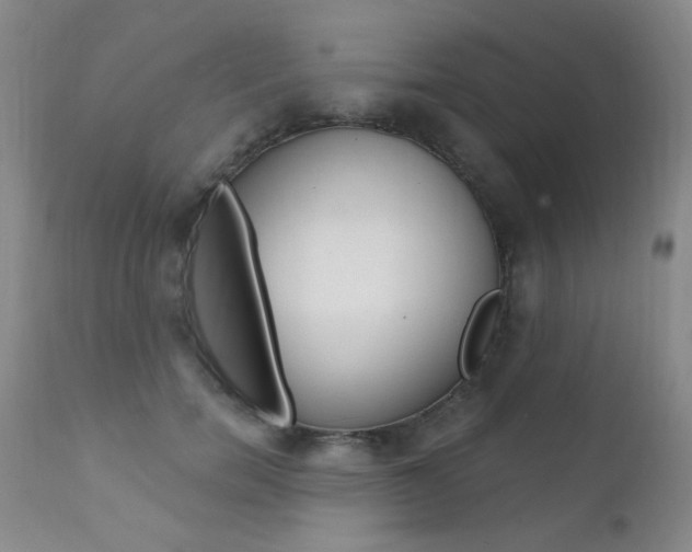 X0000111580750200907161155