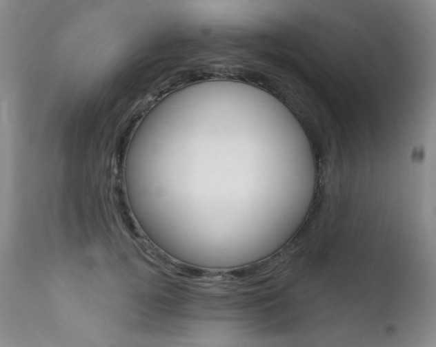 X0000111580752200907161155