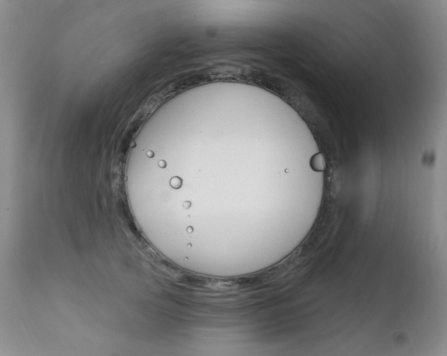 X0000111580753200907161155