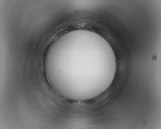 X0000111580754200907161155