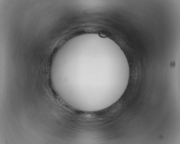 X0000111580755200907161155