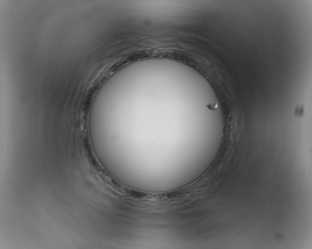 X0000111580756200907161155