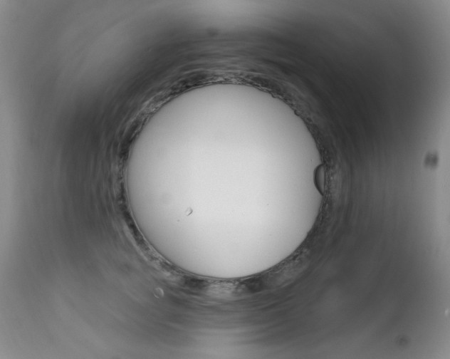 X0000111580757200907161155