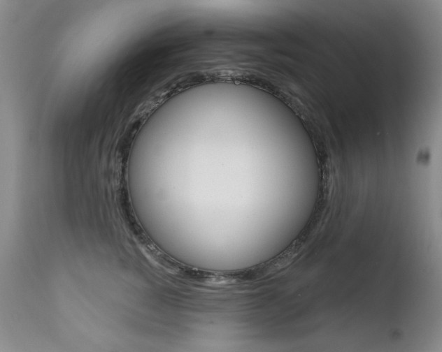 X0000111580760200907161156