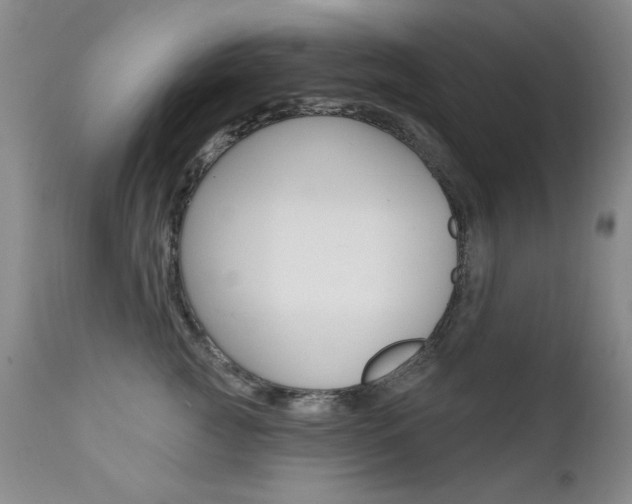 X0000111580761200907161156