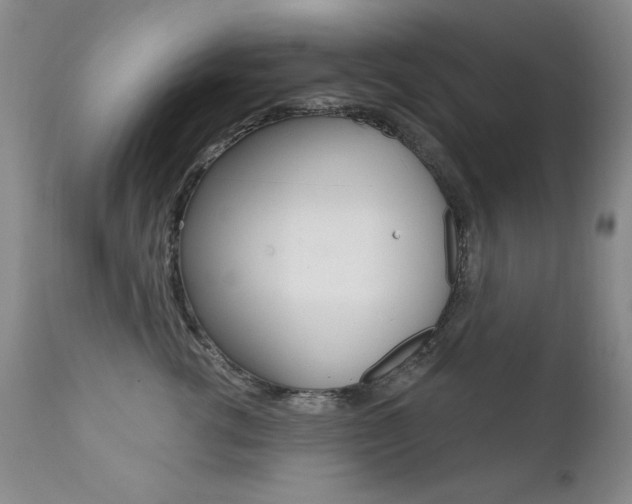 X0000111580762200907161156