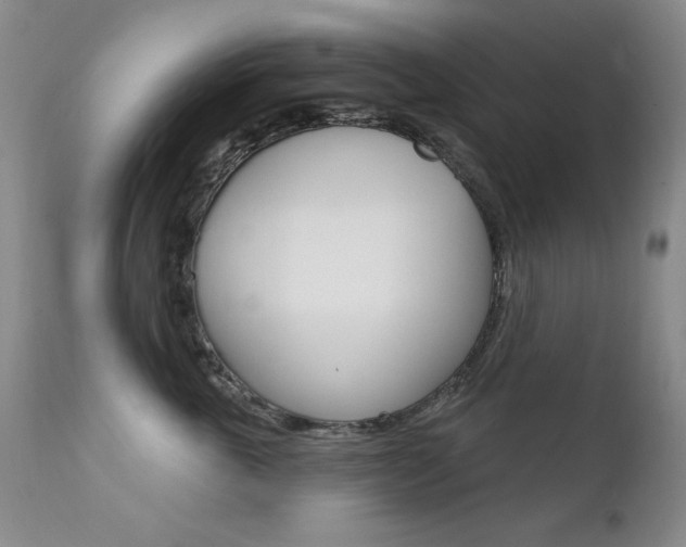 X0000111580763200907161156