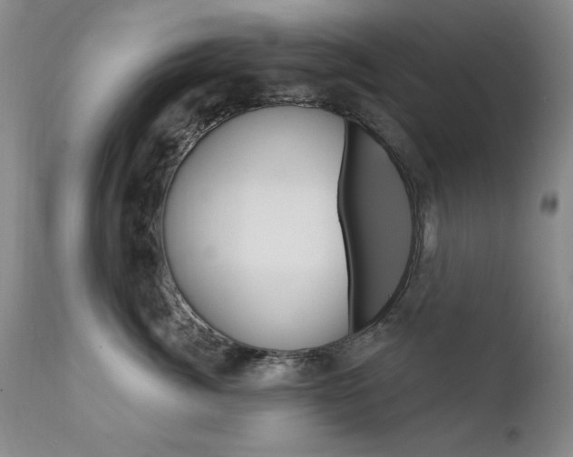 X0000111580764200907161156
