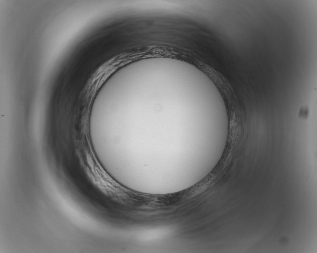 X0000111580765200907161156