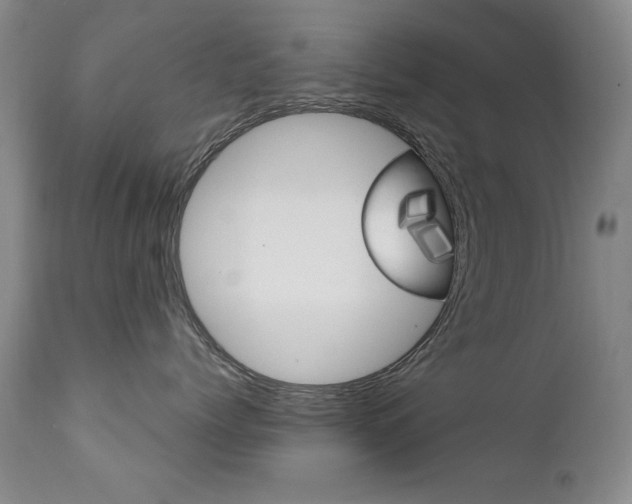 X0000111580768200907161156
