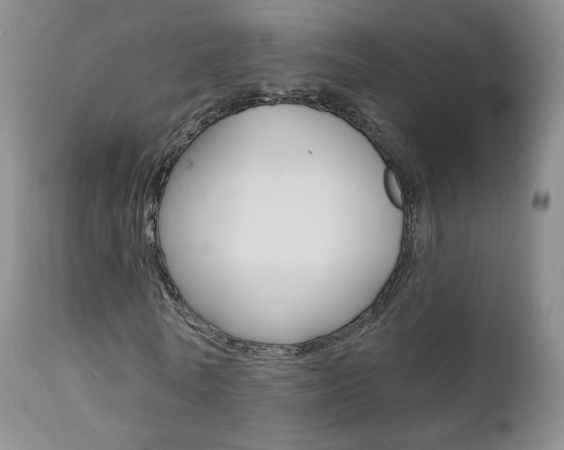X0000111580770200907161155