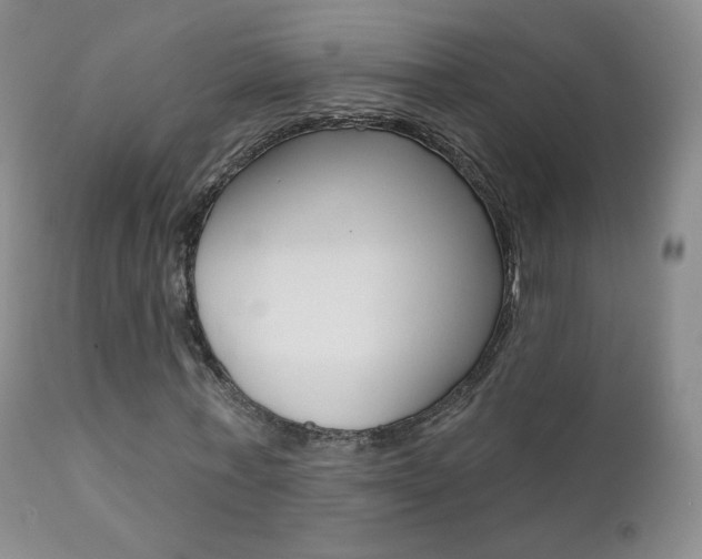 X0000111580771200907161155