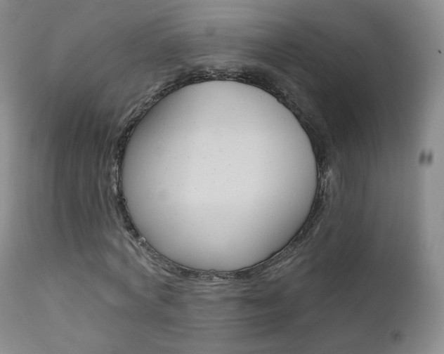 X0000111580772200907161155