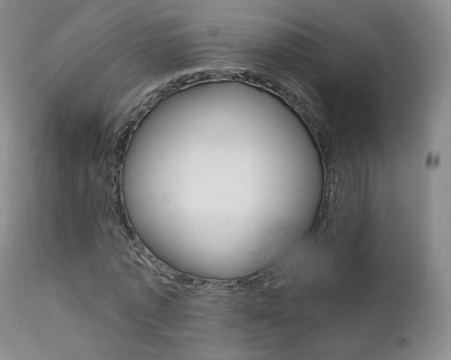 X0000111580773200907161155