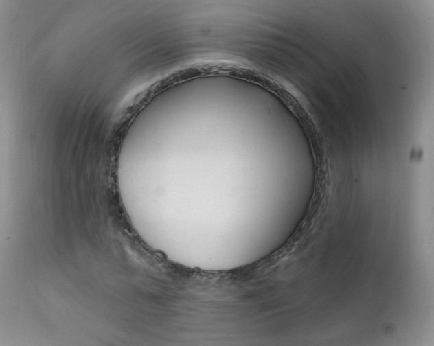 X0000111580775200907161155