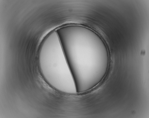 X0000111580779200907161155