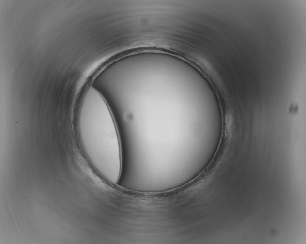X0000111580780200907161155
